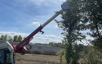 Fecon Acquires TREEfrogg LLC