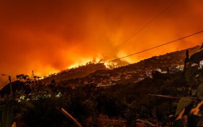 Preparing for Wildfire Season with Fecon